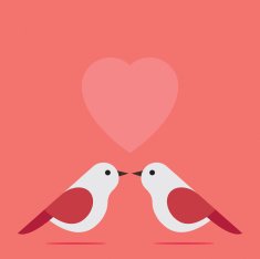 Love Birds N55