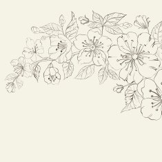 Abstract Sakura background