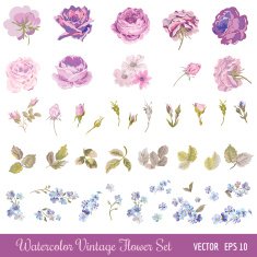 Vintage Flower Set - Watercolor Style