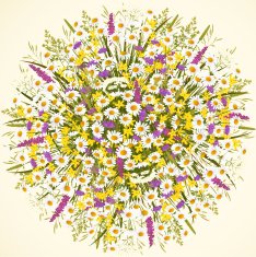 Circle with wild flowers