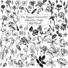 vintage vector floral set N8