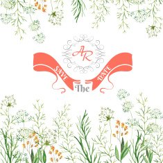 watercolor design elements N8