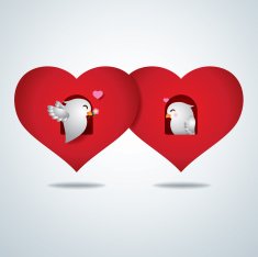Vector lover birds background