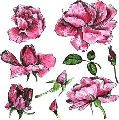 watercolor vector floral set N14
