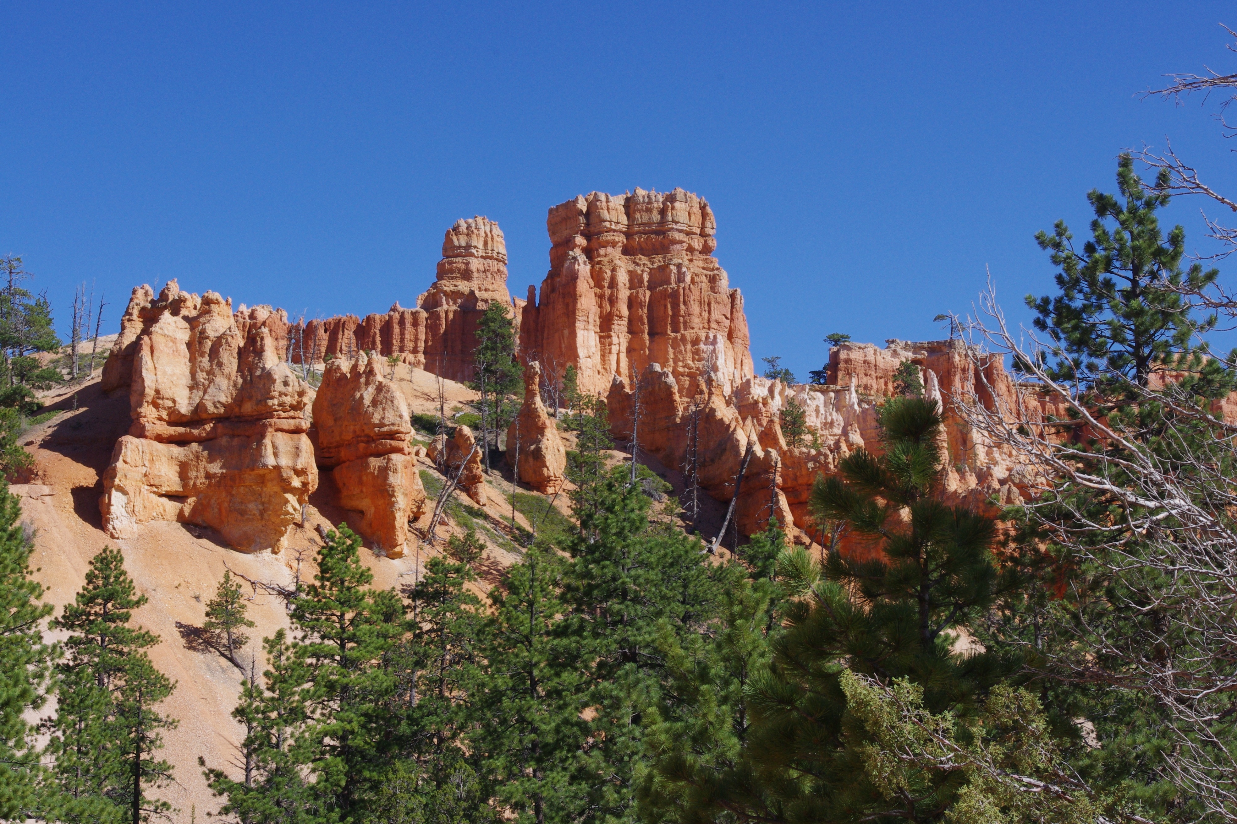 What Are The Rock Formations Called In Bryce Canyon