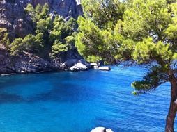 beautiful medeterranean beach with cliffs and trees