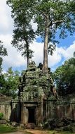 landscape of Angkor temple complex in the jungle of Cambodia