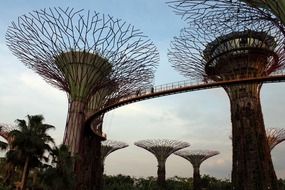 modern artificial trees in a park in Singapore