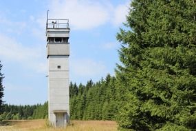 watchtower in the forest