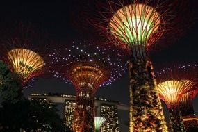 Singapore tree sky at night