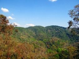 mountains in autumn vegetation