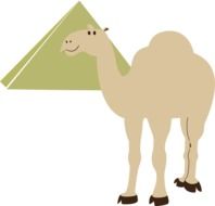 transportation camel pyramid drawing