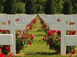 white crosses and red roses at Douaumont Ossuary