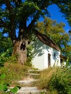 tabular chapel near a tree