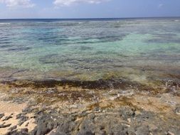 the Pacific coast on the island of Saipan