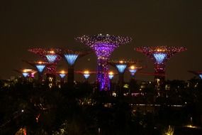 Singapore tree garden at night