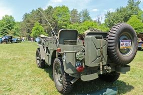 military jeep in nature