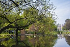 landscape of the lake in a park