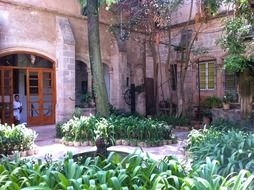 courtyard gardens in a village in Mallorca