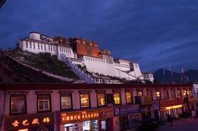 Palace Potala- royal palace