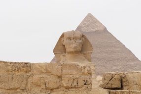 Sphinx in Egypt near the pyramid