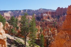 landscape of the bryce canyon national park