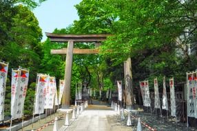 japanese torii garden