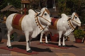 white cows religious temple pagoda