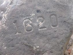 plymouth rock 1620