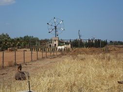 pinwheel metal wheel wind