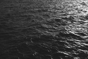 black and white photo of the sea water