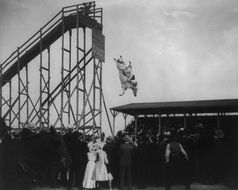 black and white photo of horse diving