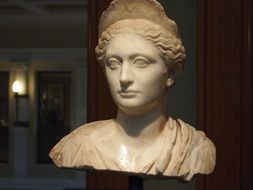 marble bust of the Greek goddess