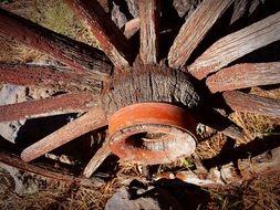 wooden wheel from a cart on the ground