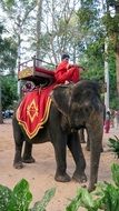 elephant ride in Cambodia
