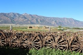 rustic wagon wheels on the farm