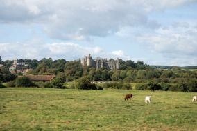 the scenic landscape on the background of the medieval castle in Arundel, West Sussex, England