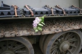 Lilac on the tank