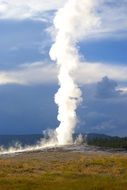 geyser on a hill in yellowstone