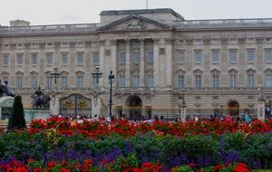 photo of the royal palace