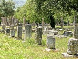 ruins of columns in a green meadow