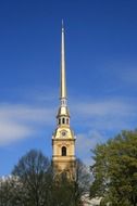 steeple on a church behind green trees