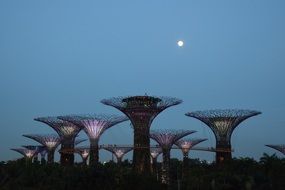 garden of the bay singapore icon night view