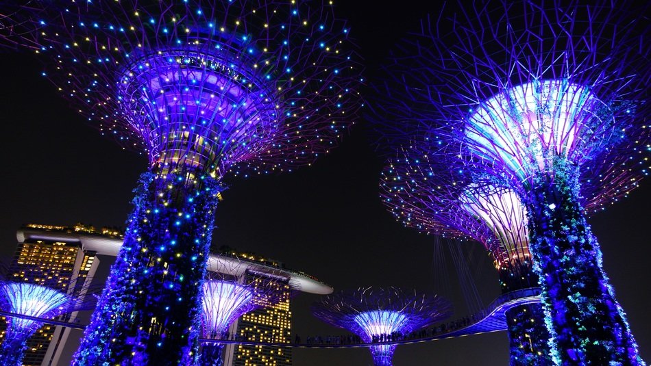 purple lights of garden by the bay