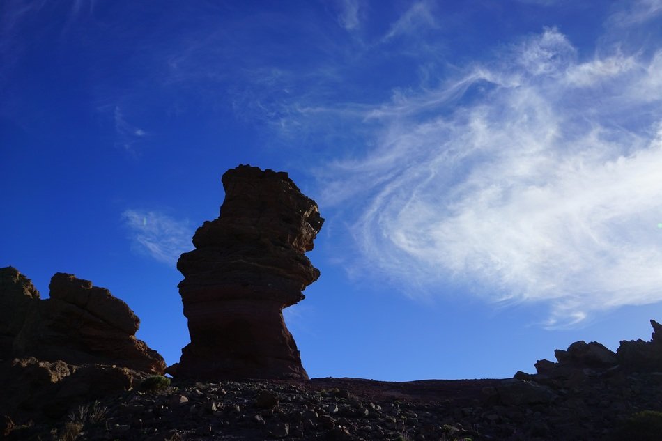 stone tree on blue sky background