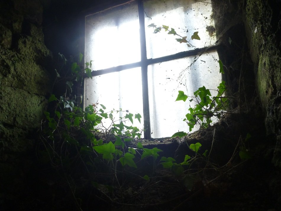 window at the back light