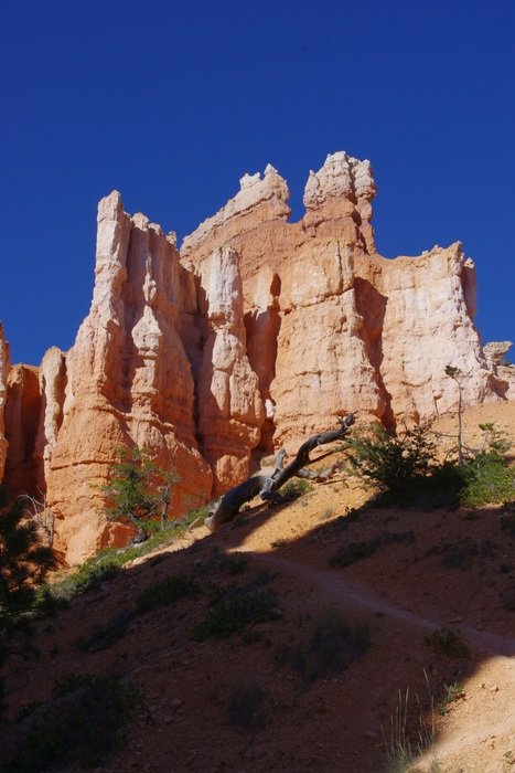 scenic bryce canyon in Utah