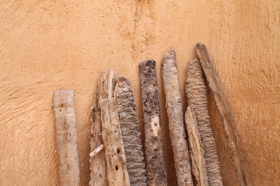 fire wood in Tunisia
