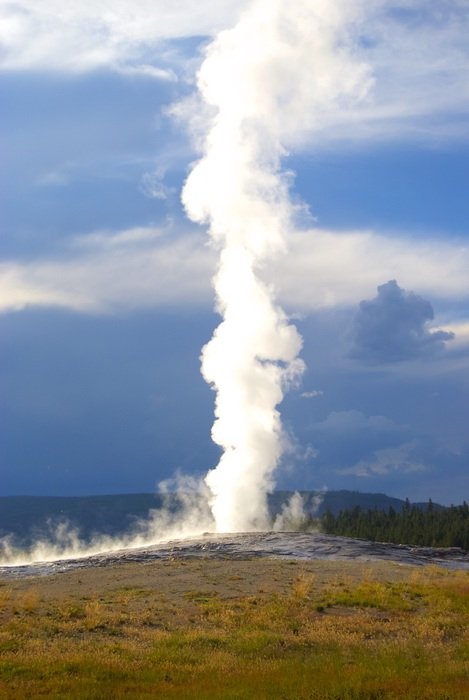 geyser on a hill in yellowstone
