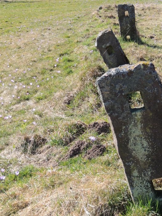 spring stone